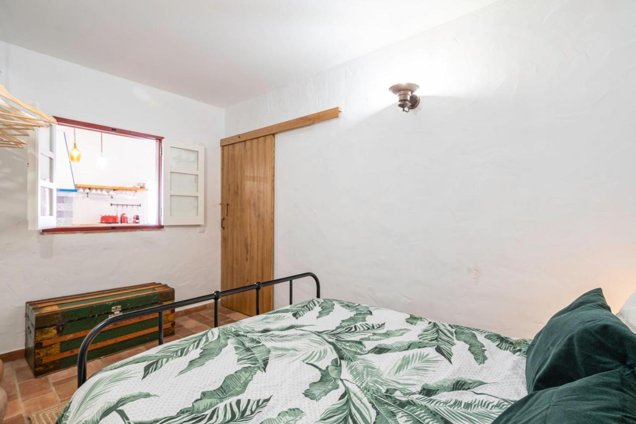 House In The Historic Center- Holiday home *